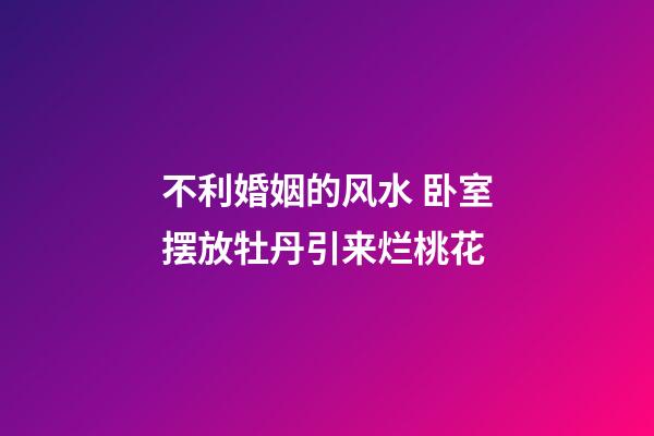 不利婚姻的风水 卧室摆放牡丹引来烂桃花
